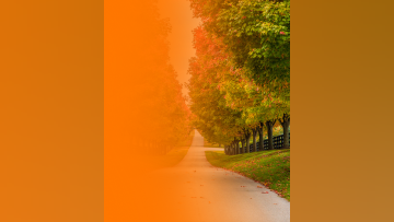 Retinal Disease Collaborative Care Updates to Optimize Outcomes  Southeast Region