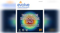 Targeting the Suprachoroidal Space Current Evidence and Best Practices for the Treatment of Posterior Segment Eye Diseases