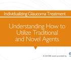 Individualizing Glaucoma Treatment Understanding How to Utilize Traditional and Novel Agents