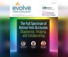 The Full Spectrum of Retinal Vein Occlusion Diagnosing Imaging and Collaborating