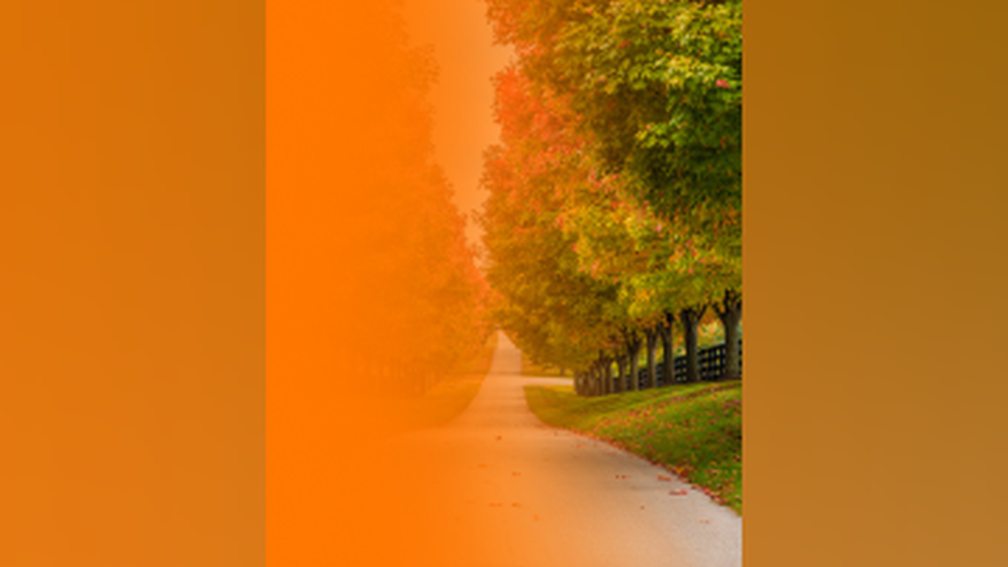 Retinal Disease Collaborative Care Updates to Optimize Outcomes Southeast Region