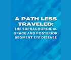 Unexplored Route The Suprachoroidal Space and Posterior Segment Eye Disease