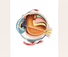 Part 2 Episode 1 Expert Insights Into Surgical Fundamentals Tips for Retinal Detachment Surgery and Hyaloid Elevation