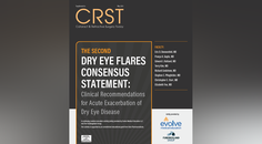 The Second Dry Eye Flares Consensus Statement Clinical Recommendations for Acute Exacerbation of Dry Eye Disease