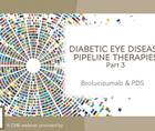 Diabetic Eye Disease Pipeline Therapies Part 3 Brolucizumab PDS