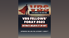 VBS Fellows Foray 2023 Retinas Believe It or Not CaseBased Examples and RealWorld Treatment Strategies