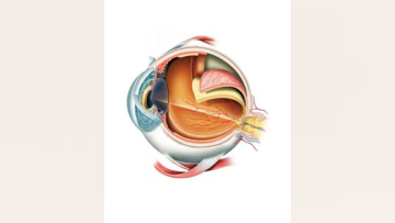 Part 2 Episode 1 Expert Insights Into Surgical Fundamentals Tips for Retinal Detachment Surgery and Hyaloid Elevation