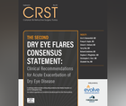 The Second Dry Eye Flares Consensus Statement Clinical Recommendations for Acute Exacerbation of Dry Eye Disease
