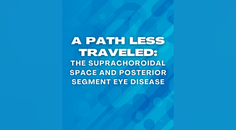 Unexplored Route The Suprachoroidal Space and Posterior Segment Eye Disease