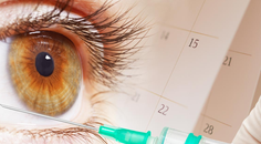 Evolve Website Image