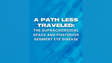 A Path Less Traveled The Suprachoroidal Space and Posterior Segment Eye Disease