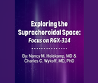 Exploring the Suprachoroidal Space Focus on RGX314