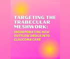 New Options in Glaucoma Pharmacology Targeting the TM