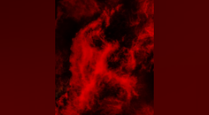 VBS Fellows Foray 2024 Retinas Believe it or Not CaseBased Examples and RealWorld Treatment Strategies