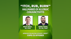 Itch Rub Burn Hallmarks of Allergic Conjunctivitis
