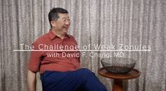 The Challenge of Weak Zonules
