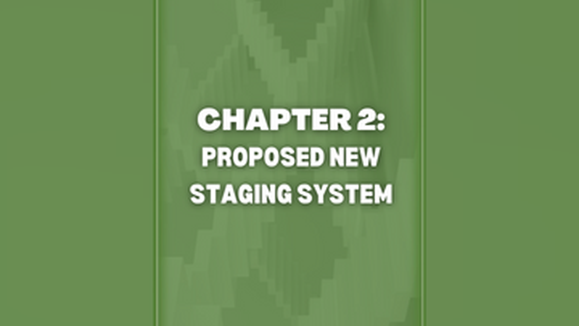 CHAPTER 2 Proposed New Staging System
